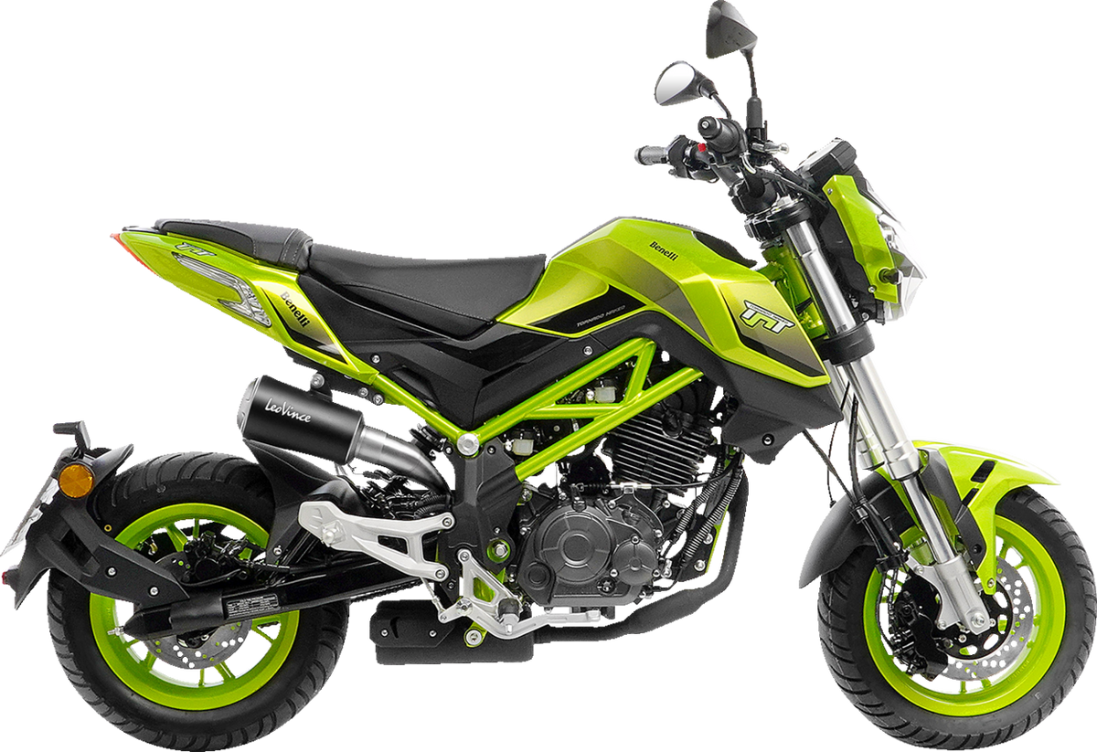 LeoVince LV-10 Slip-On Muffler