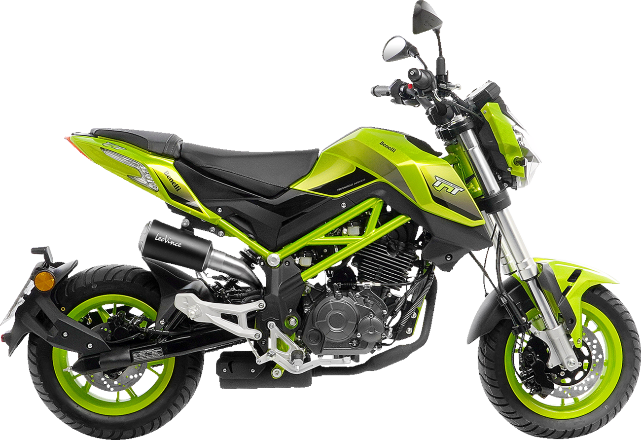 LeoVince LV-10 Slip-On Muffler