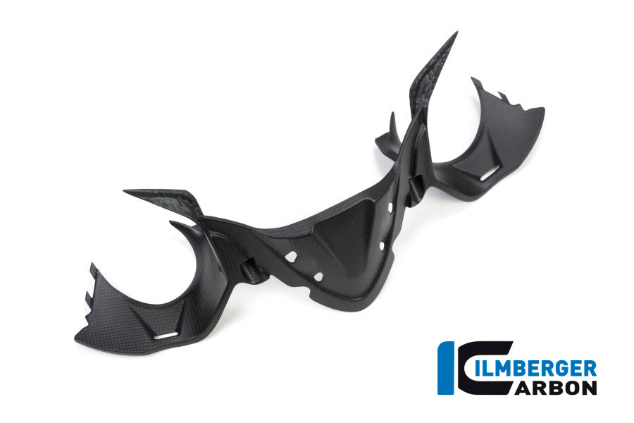 Ilmberger Carbon Instrument Panel Matt Carbon Ducati Panigale 1299 (From 2015)