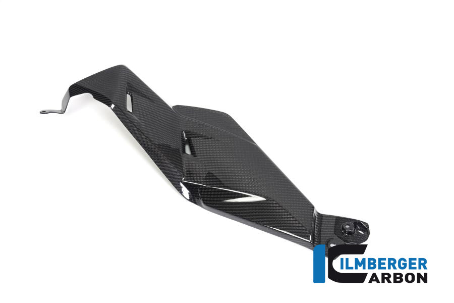 Ilmberger Carbon Airvent Cover Left Side BMW R 1250 GS