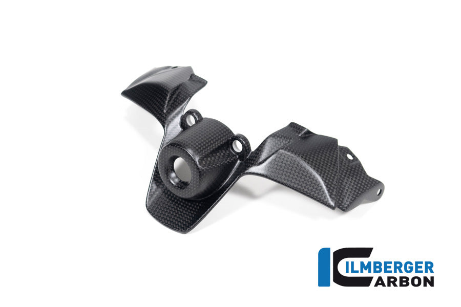 Ilmberger Carbon Ignition Switch Cover Ducati Streetfighter V2 - Matte