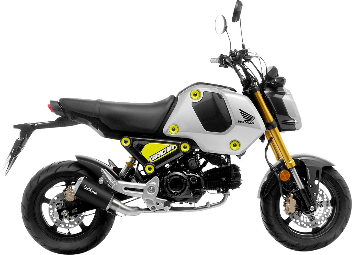 LeoVince LV-10 Exhaust System