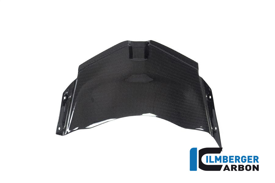 Ilmberger Carbon Panel Under The Front Fairing Ducati Panigale V4 Racing - Gloss