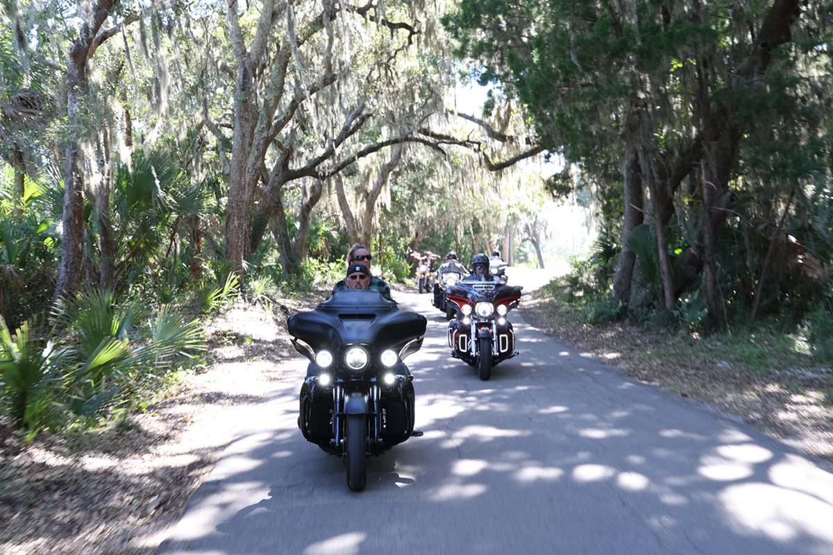 Custom Dynamics Shark Demon® 2 Headlight - Low Rider ST