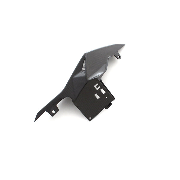 Ilmberger Carbon Fiber Rear Tail Side Panels for S1000RR 2015 to 2018