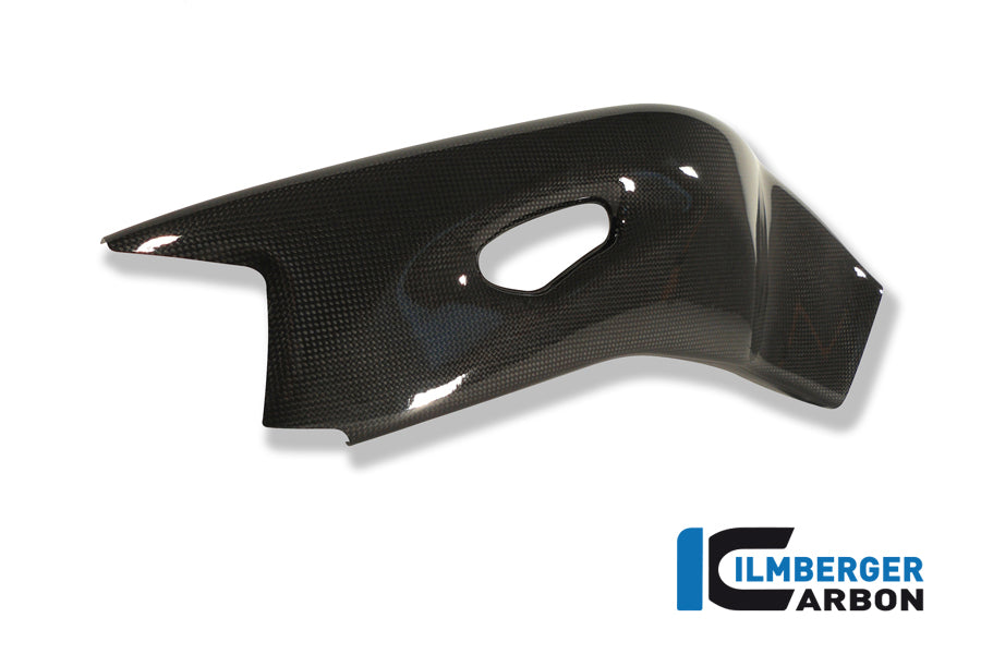 Ilmberger Carbon Swingarm Cover Right Carbon