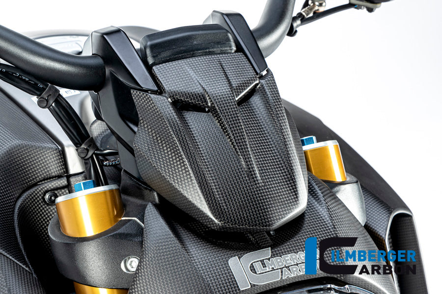 Ilmberger Carbon Instrument Cover Ducati Diavel 1260