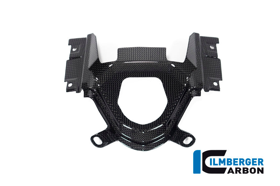 Ilmberger Carbon Ignition Switch Cover Ducati Diavel 1260