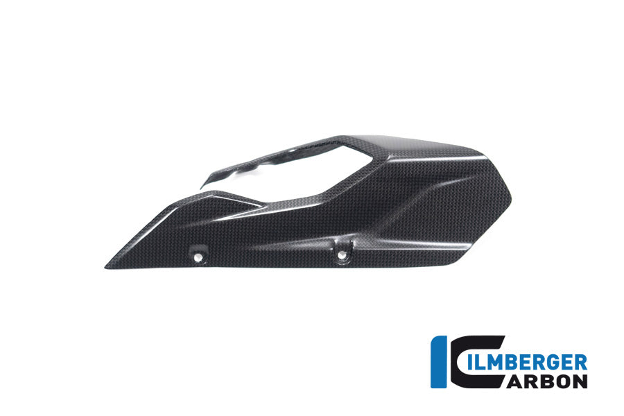 Ilmberger Carbon Chainguard/Swingarm Matt Surface Multistrada V4