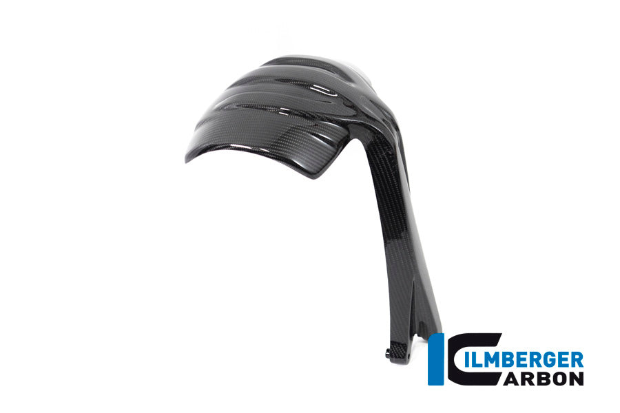 Ilmberger Carbon Rear Splash Guard BMW R 1250 GS From 2019