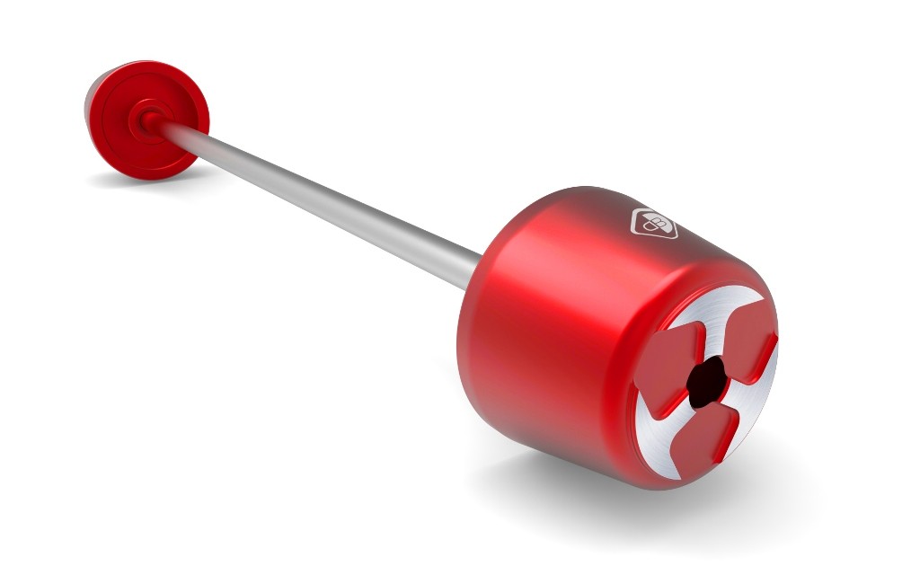 Ducabike DBK PFPL01 - Swingarm Protection