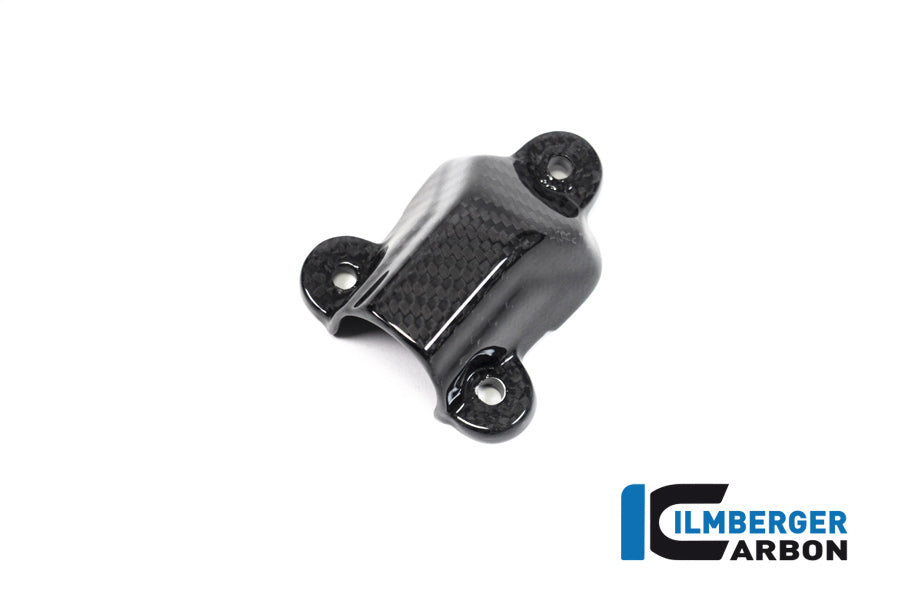 Ilmberger Carbon Water Pump Cover BMW S 1000 RR MY From 2019
