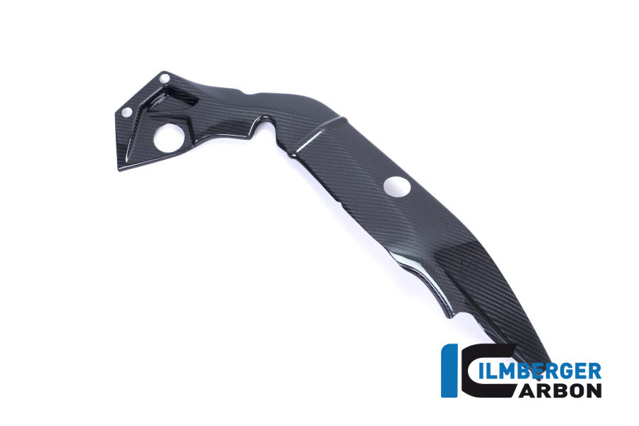 Ilmberger Carbon Frame Cover Right Side - BMW S 1000 R (Ab 2017)