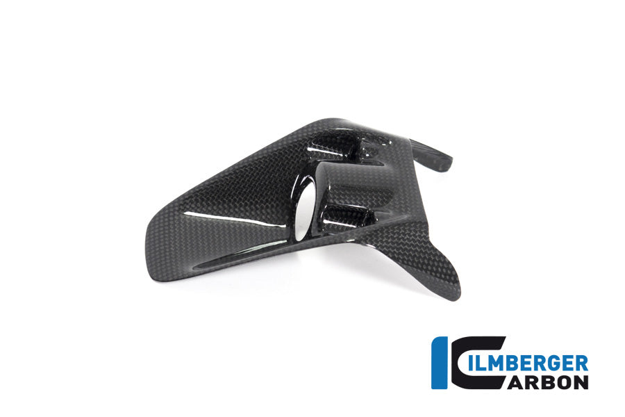 Ilmberger Carbon Ignition Switch Cover Ducati Monster 1200R - Gloss