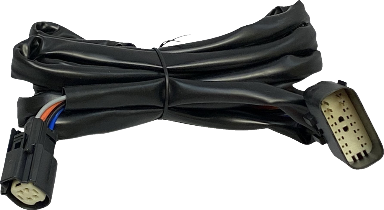 Custom Dynamics Harness - Rear Speakers - Tour-Pak