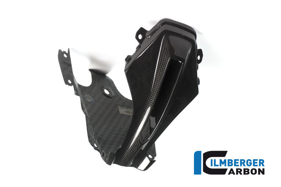 Ilmberger Carbon Verkleidungsmitterteil Oben BMW R1200RS'15