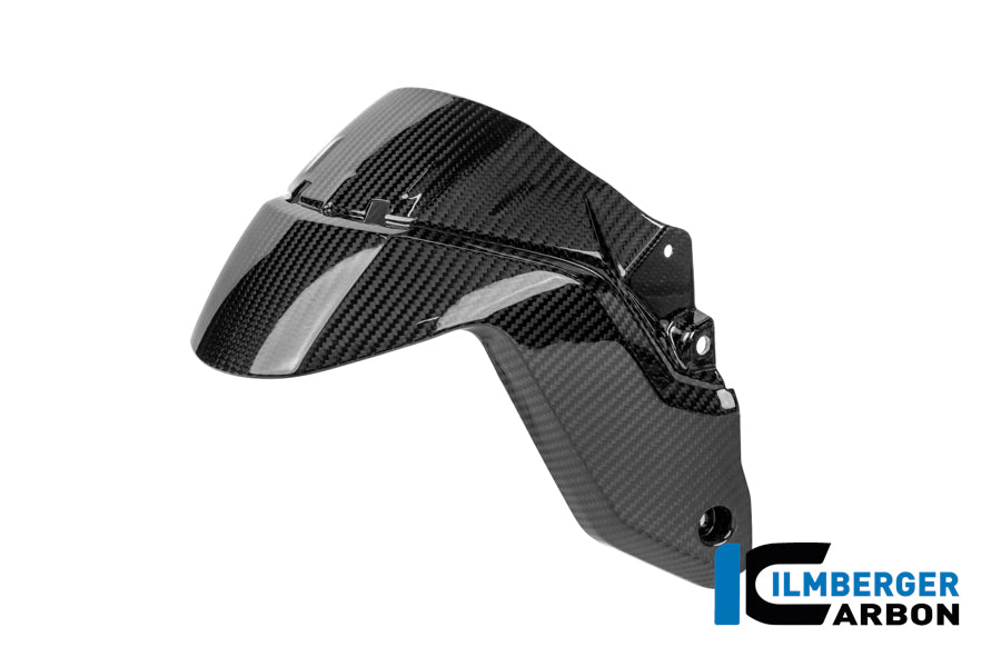 Ilmberger Carbon Front Fender BMW R 1300 R - Gloss / Twill