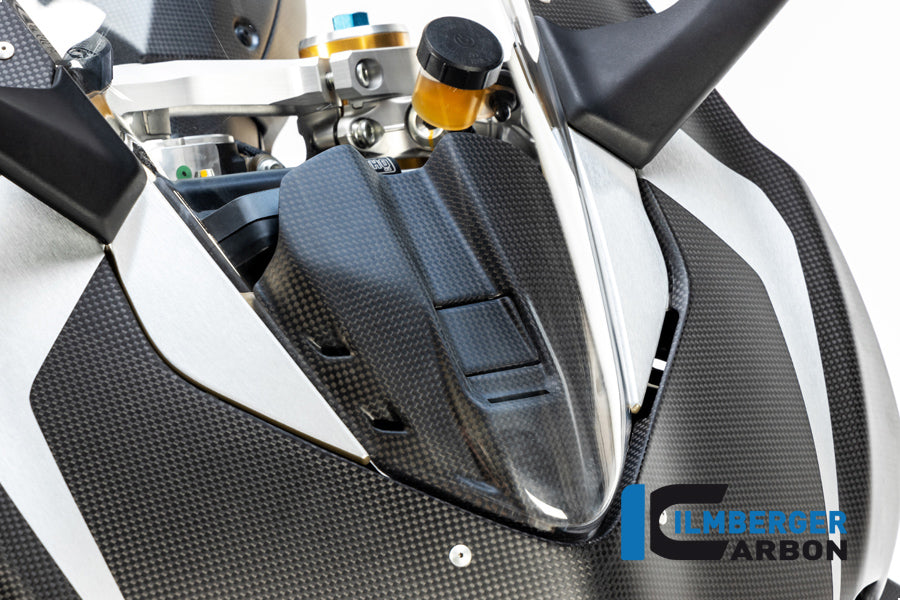 Ilmberger Carbon Instrument Cover Ducati Panigale V4 / V4 S