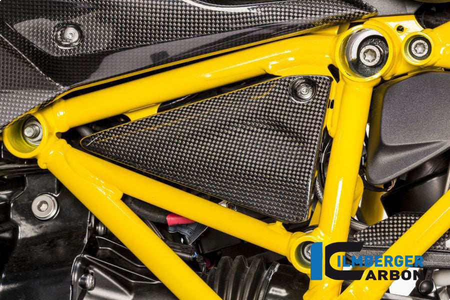 Ilmberger Carbon Frame Triangle Cover Left Carbon