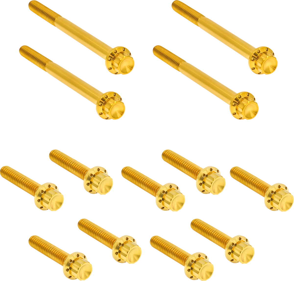 Arlen NESS Bolt Kit - Primary Cover - Titanium - 12-Point - FLT - Gold