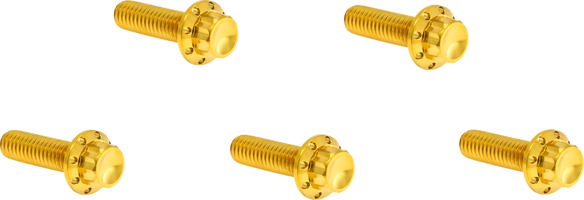 Arlen NESS Bolt Kit - Derby Cover - 12-Point - Titanium - Gold