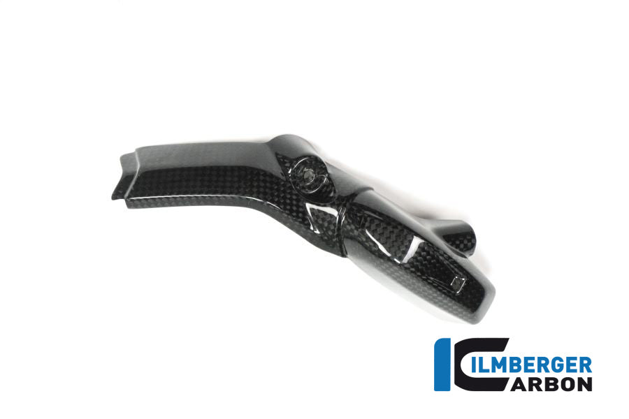 Ilmberger Carbon Injector Cover Left Side Carbon - BMW R 1200 GS (LC) From 2013 To 2015