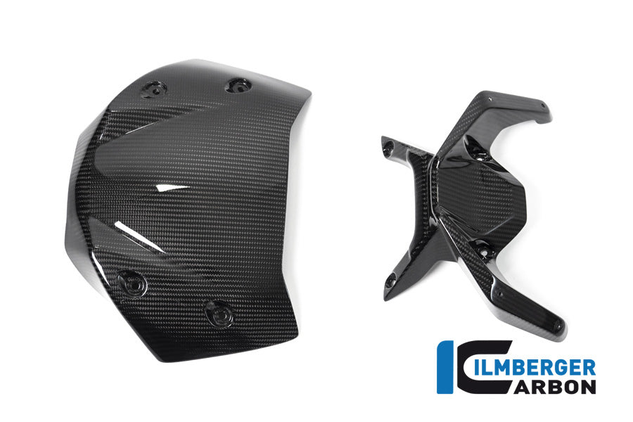 Ilmberger Carbon Windshield BMW R 1250 R 2019 - 2022