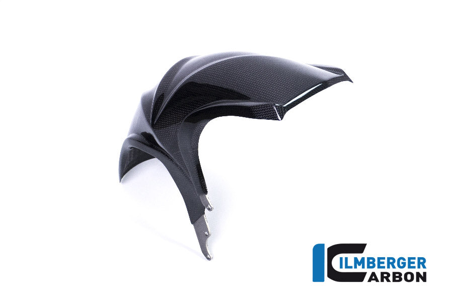 Ilmberger Carbon Rear Fender BMW R 1200GS'18