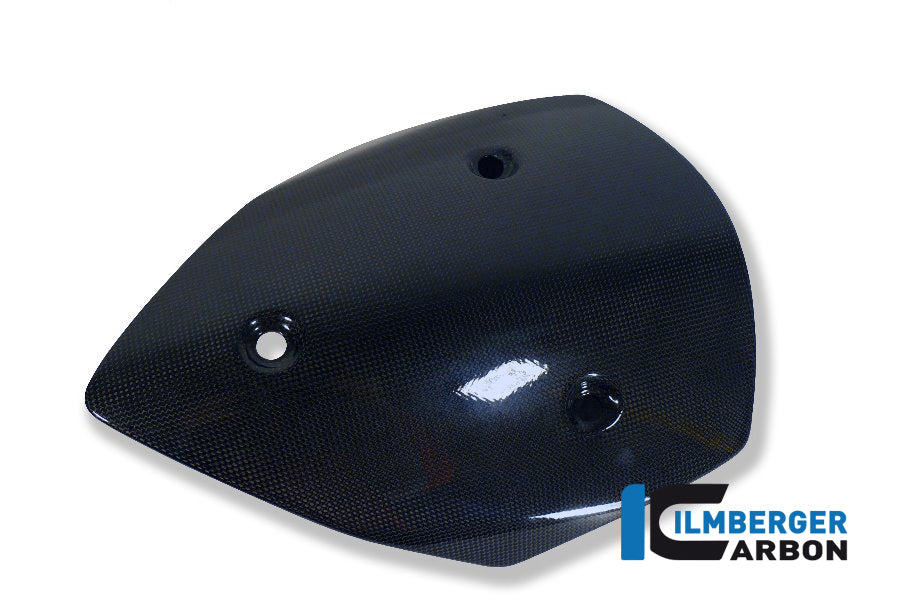 Ilmberger Carbon Windshield - Gloss