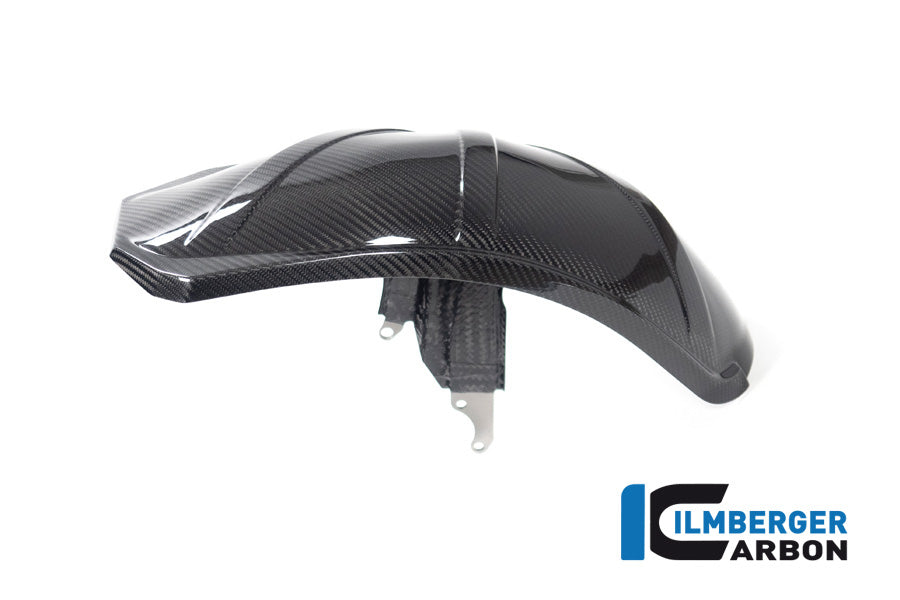 Ilmberger Carbon Rear Hugger BMW R 1300 GS - Gloss / Twill