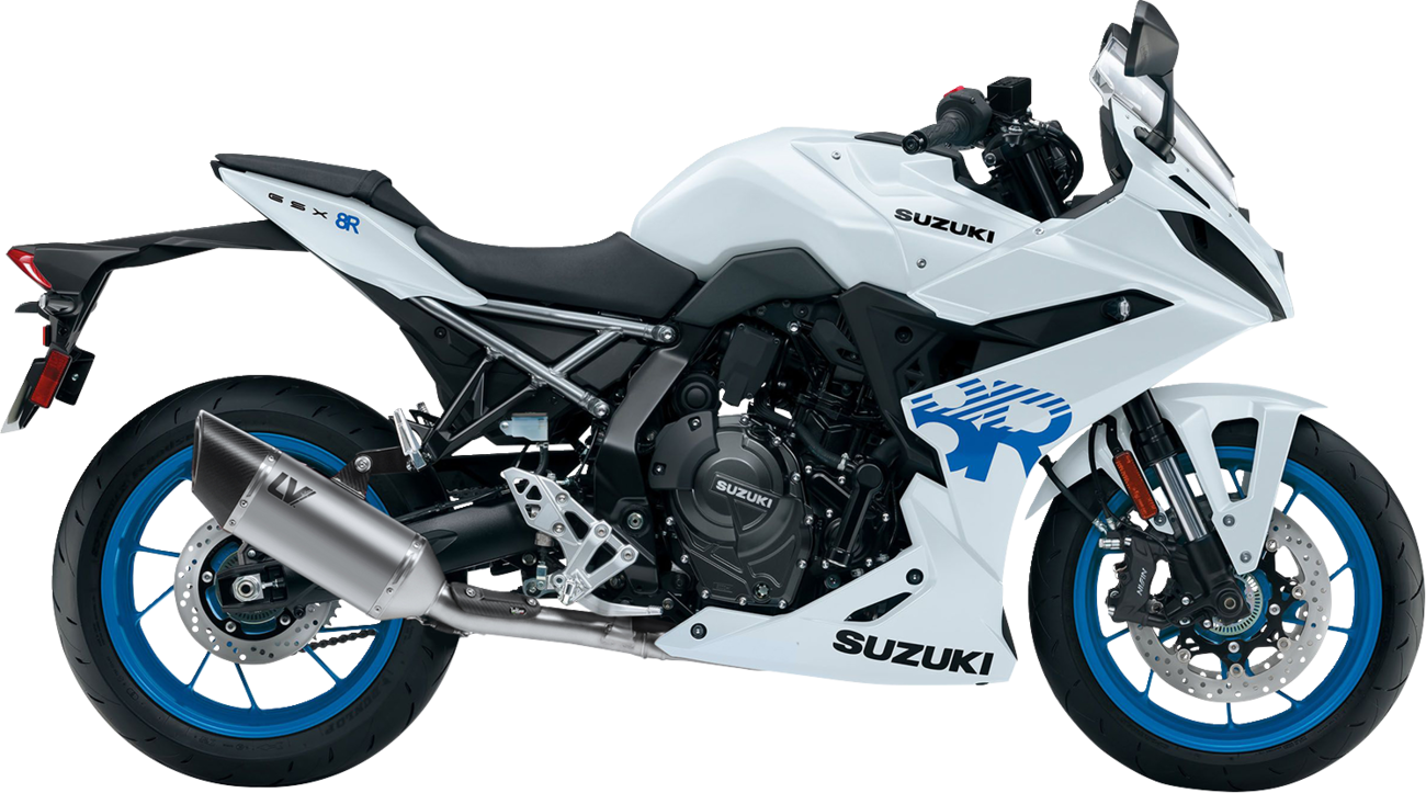 LeoVince 2-Into-1 LV-14 R Exhaust System - Titanium Look / Stainless Steel / 11.18 lb