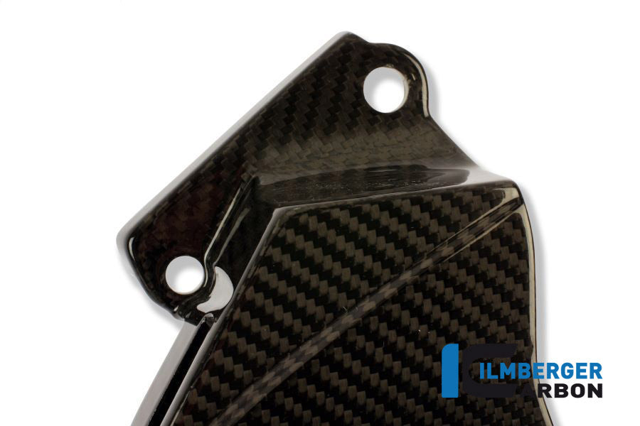 Ilmberger Carbon Sprocket Cover Made Of Carbon