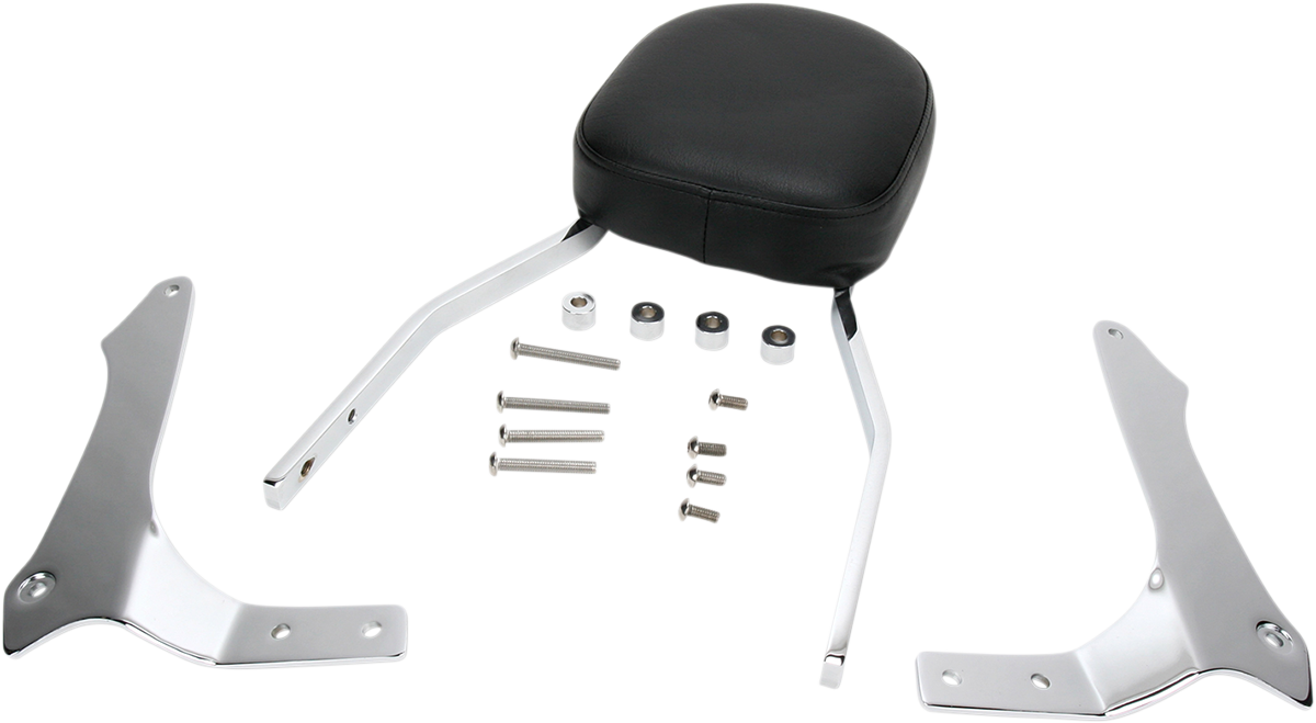 Cobra Sissy Bar - Standard - Raider