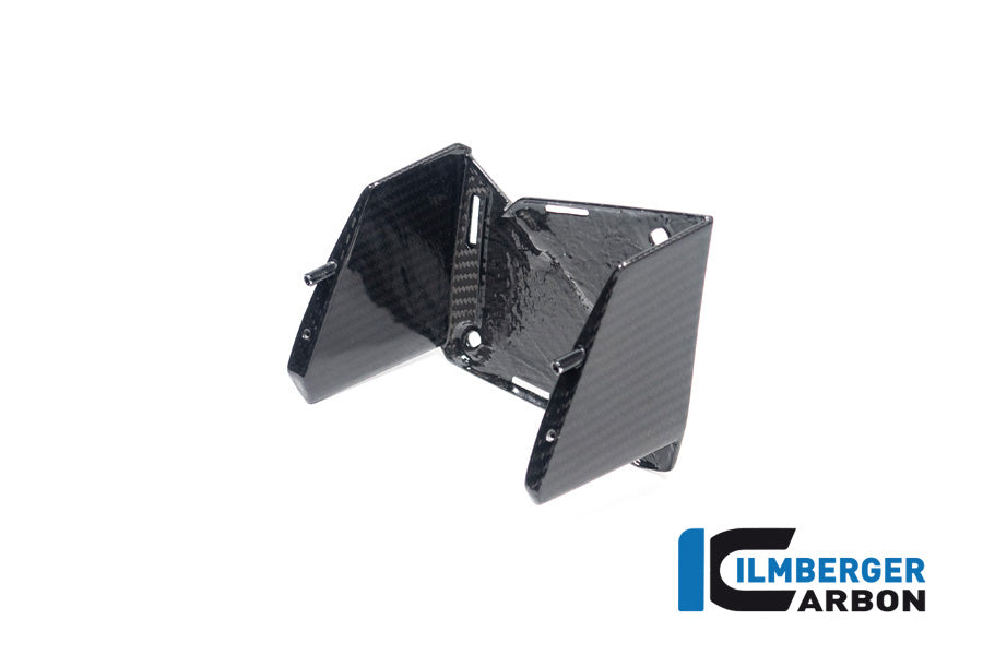 Ilmberger Carbon Inner Wing Left BMW M 1000 XR 2024