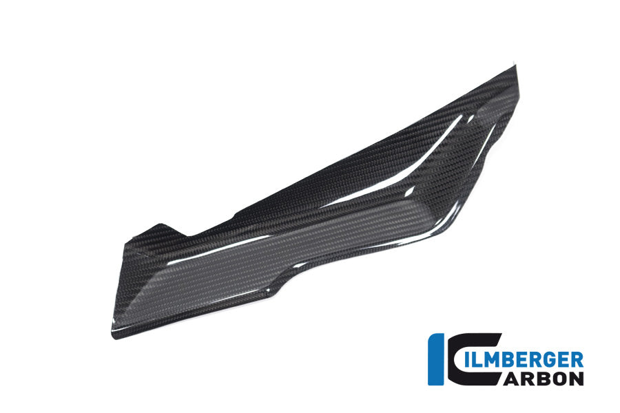 Ilmberger Carbon Cover Under The Front Fairing Right Side BMW R 1250 RS