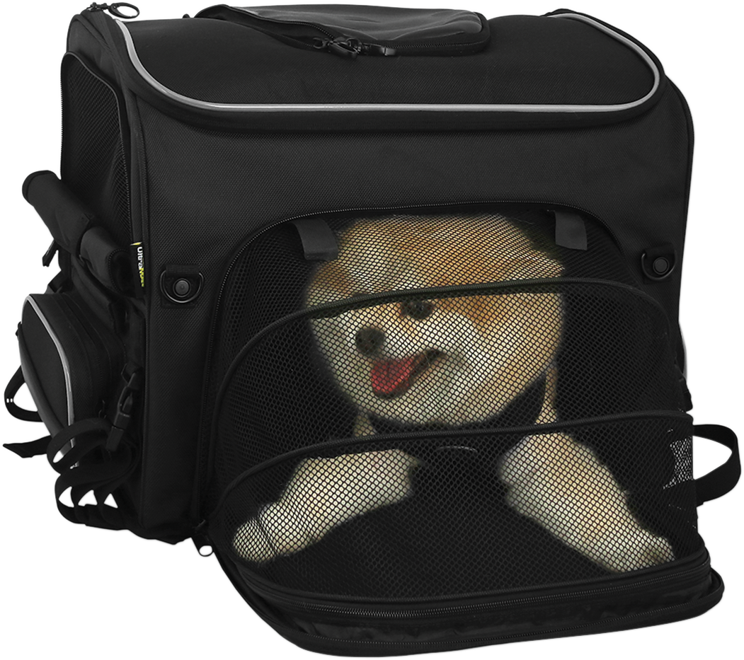 Nelson RIGG Route 1 Rover Pet Carrier - Black