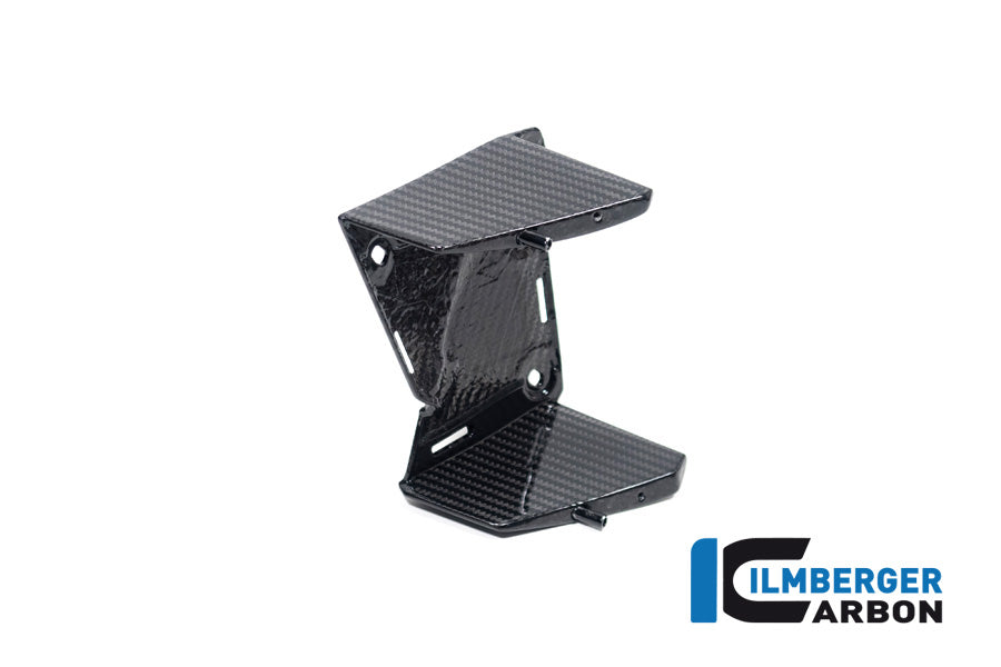Ilmberger Carbon Inner Wing Left BMW M 1000 XR 2024