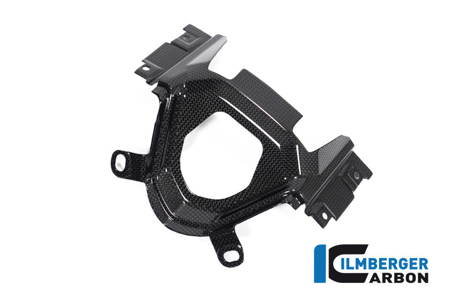 Ilmberger Carbon Ignition Switch Cover Ducati Diavel 1260 - Gloss