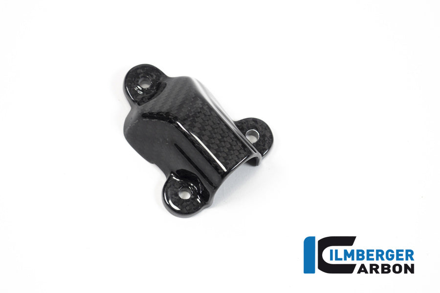 Ilmberger Carbon Water Pump Cover BMW S 1000 RR MY From 2019