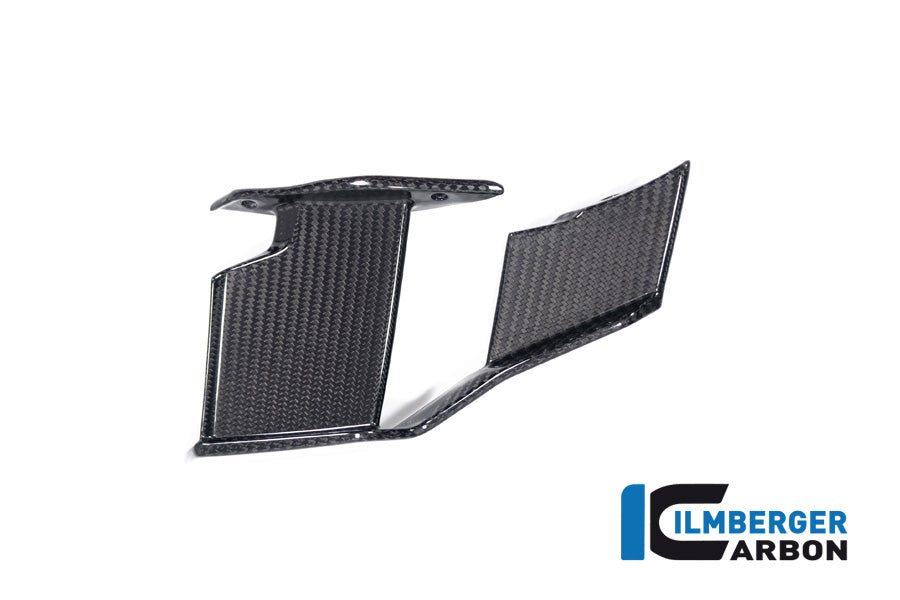 Ilmberger Carbon Winglet Right BMW M1000R 2023