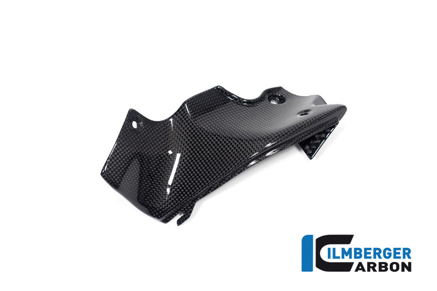 Ilmberger Carbon Air Tube Covers Right Ducati Streetfighter V2 - Gloss