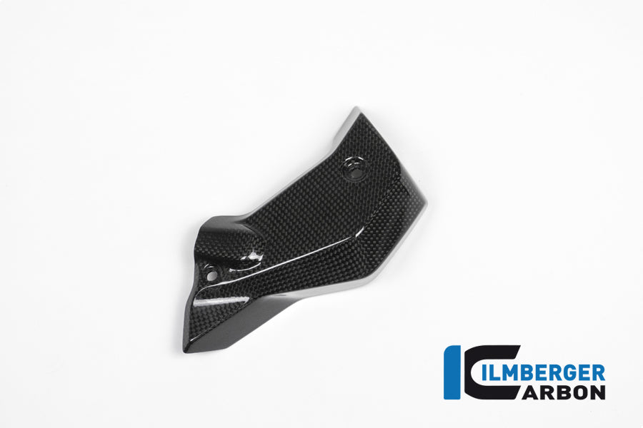 Ilmberger Carbon Water Radiator Cover Right Carbon