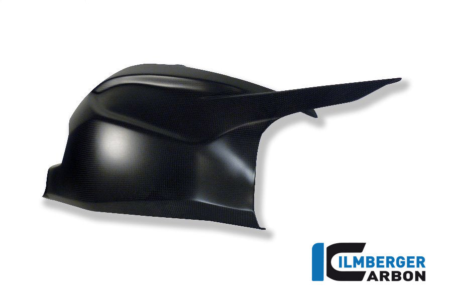 Ilmberger Carbon Swingarm / Chain Guard Upper - Matte