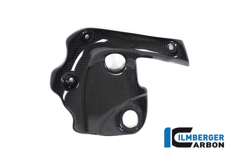 Ilmberger Carbon Exhaust Protection On The Manifold Ducati Diavel 1260 - Gloss / Plain