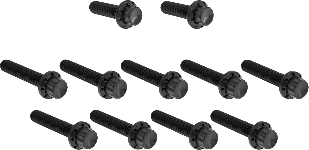 Arlen NESS Bolt Kit - Cam Cover/Point Cover - Titanium - 12-Point - Black
