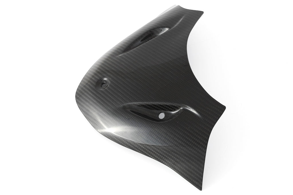 Fullsix Carbon Headlight Fairing - Extension Cover