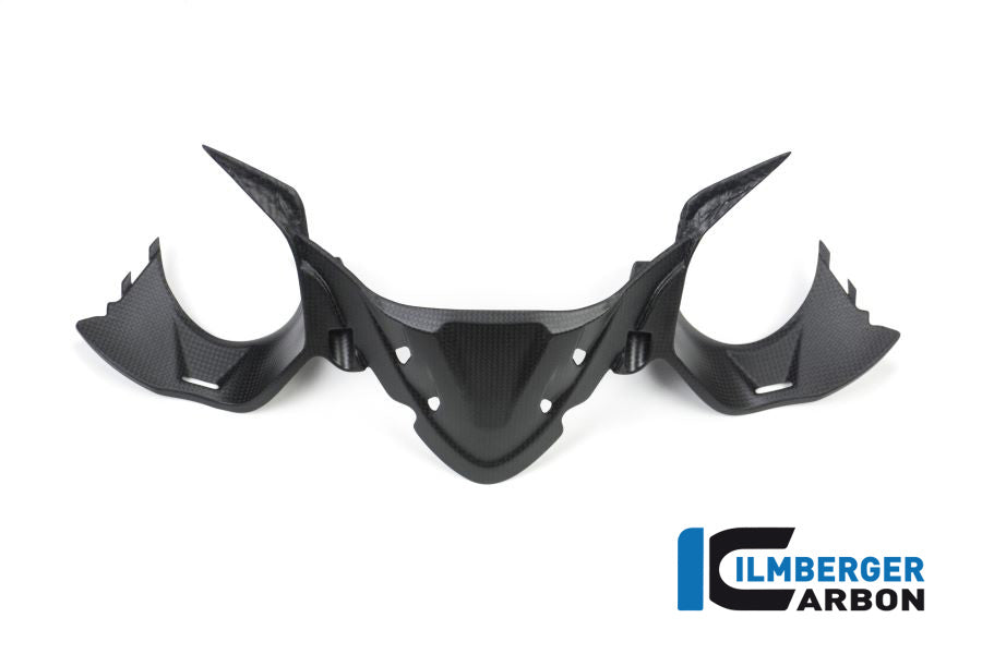 Ilmberger Carbon Instrument Panel Matt Carbon Ducati Panigale 1299 (From 2015)