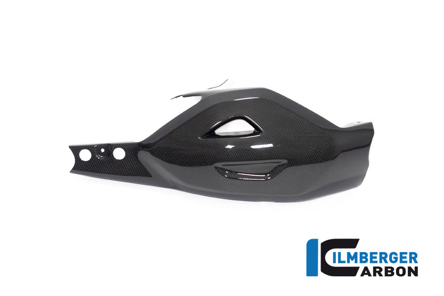 Ilmberger Carbon Swing Arm Cover Ducati Diavel V4 From 2023