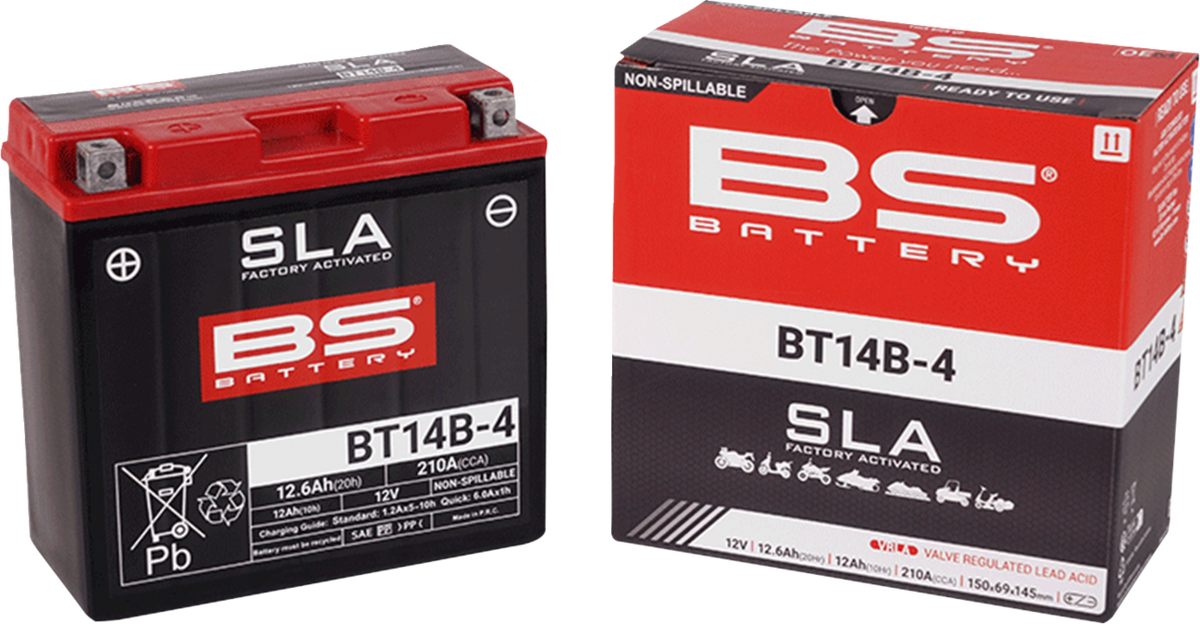 BS Battery Battery - BT14B-4 (YT)