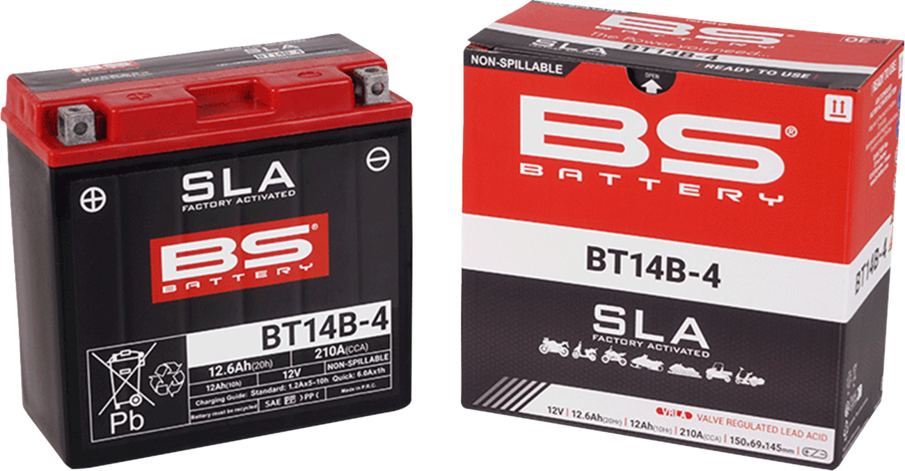 BS Battery Battery - BT14B-4 (YT)